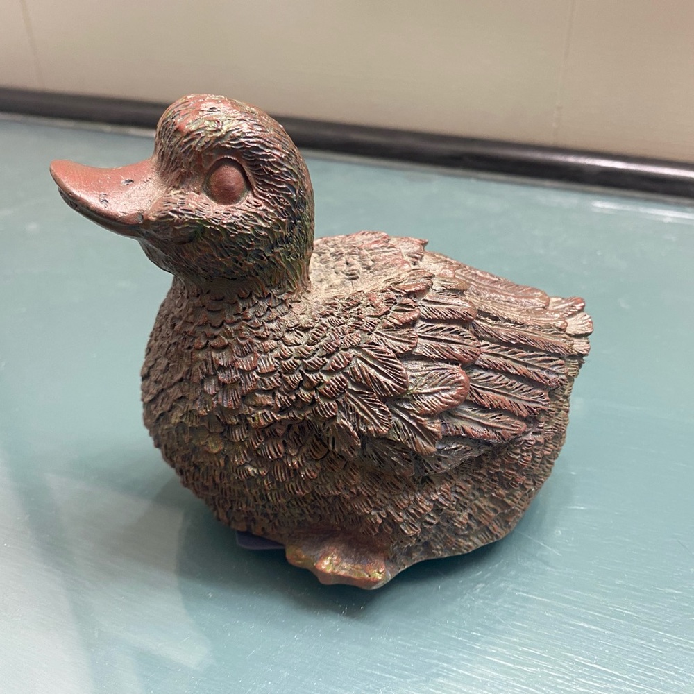 Duck Key Hide